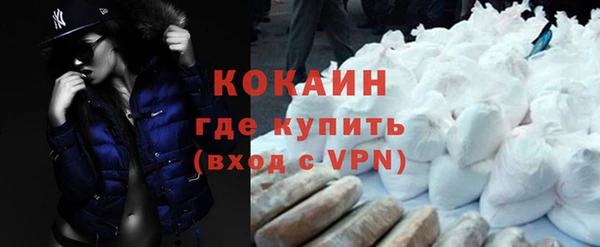 сатива Магас