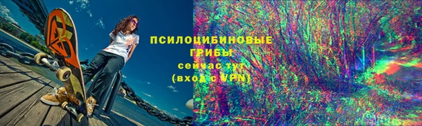 сатива Магас