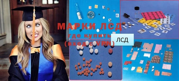 сатива Магас
