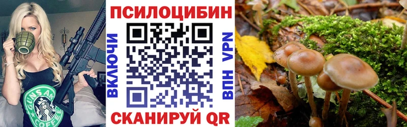 Купить  Хилок  Псилоцибиновые грибы GOLDEN TEACHER 